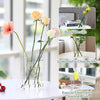 MULTIPURPOSE FLOWER VASE - (LIMITED STOCK, AVAILABLE AT 40% OFF)