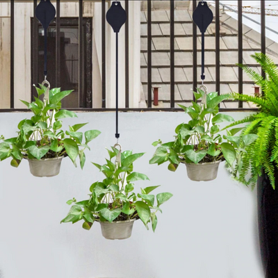 Plant Pulley Set For Garden Baskets Pots - HOT SALE